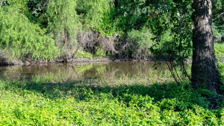 East Texas Duck & Deer Hunting Property Henderson County - image 25