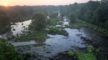 East Texas Duck & Deer Hunting Property Henderson County - image 13