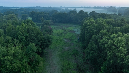 East Texas Duck & Deer Hunting Property Henderson County - image 7