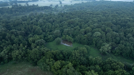 East Texas Duck & Deer Hunting Property Henderson County - image 4