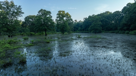 East Texas Duck & Deer Hunting Property Henderson County - image 17