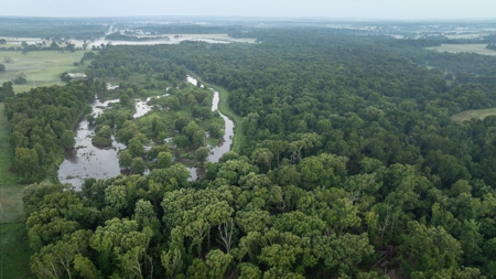 East Texas Duck & Deer Hunting Property Henderson County - image 3