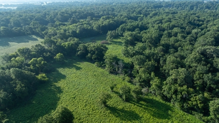 East Texas Duck & Deer Hunting Property Henderson County - image 11