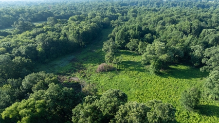 East Texas Duck & Deer Hunting Property Henderson County - image 12