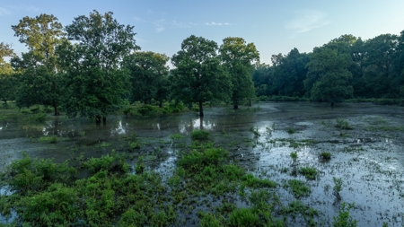 East Texas Duck & Deer Hunting Property Henderson County - image 16