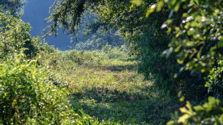East Texas Duck & Deer Hunting Property Henderson County - image 27