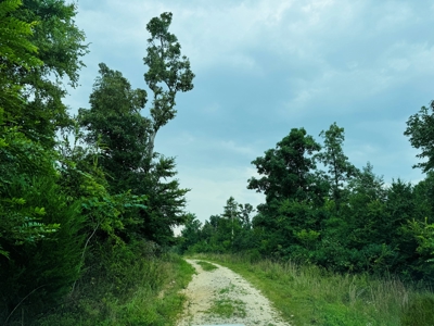 Home, Land, And Chicken Houses For Sale In Arkansas - image 31