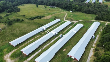 Home, Land, And Chicken Houses For Sale In Arkansas - image 1