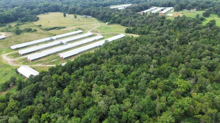 Home, Land, And Chicken Houses For Sale In Arkansas - image 3