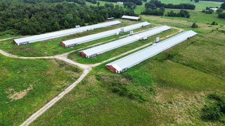 Home, Land, And Chicken Houses For Sale In Arkansas - image 2