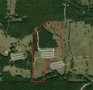 Home, Land, And Chicken Houses For Sale In Arkansas - image 34