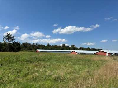 Home, Land, And Chicken Houses For Sale In Arkansas - image 19