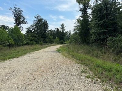 Home, Land, And Chicken Houses For Sale In Arkansas - image 32