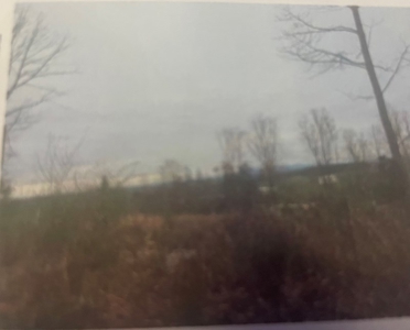 Court Ordered Auction in Forest VA - image 3