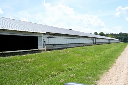Mississippi Turnkey Poultry Farm 10 House with Residence - image 12