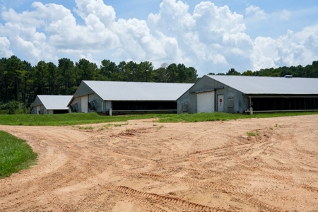 Mississippi Turnkey Poultry Farm 10 House with Residence - image 13