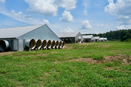Mississippi Turnkey Poultry Farm 10 House with Residence - image 20