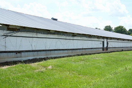 Mississippi Turnkey Poultry Farm 10 House with Residence - image 11