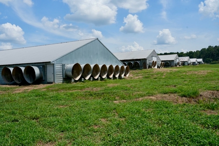 Mississippi Turnkey Poultry Farm 10 House with Residence - image 21