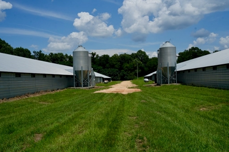 Mississippi Turnkey Poultry Farm 10 House with Residence - image 7