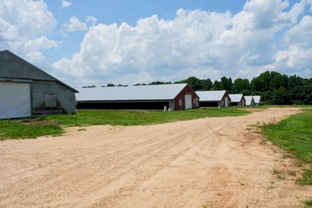 Mississippi Turnkey Poultry Farm 10 House with Residence - image 6