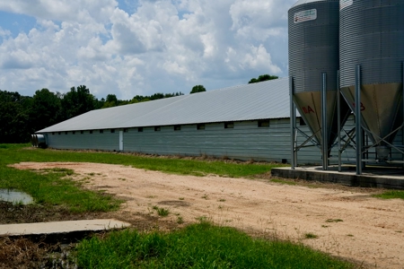 Mississippi Turnkey Poultry Farm 10 House with Residence - image 10