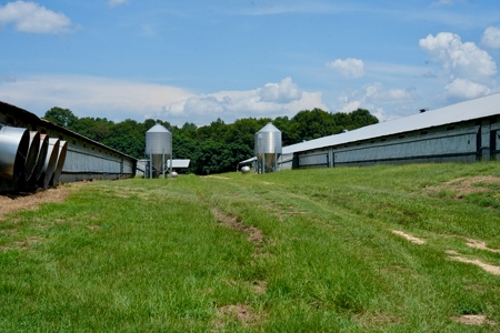 Mississippi Turnkey Poultry Farm 10 House with Residence - image 8
