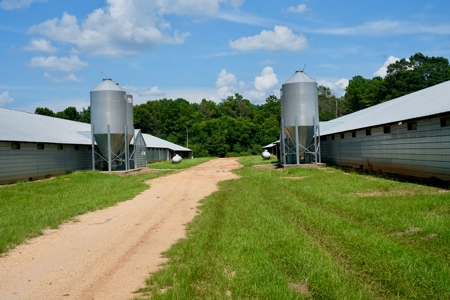 Mississippi Turnkey Poultry Farm 10 House with Residence - image 9