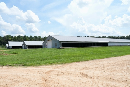Mississippi Turnkey Poultry Farm 10 House with Residence - image 18