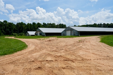 Mississippi Turnkey Poultry Farm 10 House with Residence - image 4