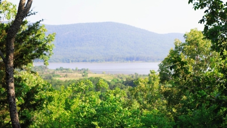 Sardis Lake Country Home For Sale Clayton Ok Pushmataha Cty - image 14