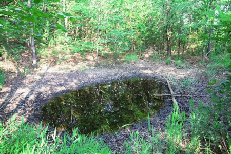 Sardis Lake Country Home For Sale Clayton Ok Pushmataha Cty - image 12