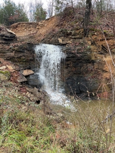 Luxury Northwest Arkansas Retreat For Sale - image 41