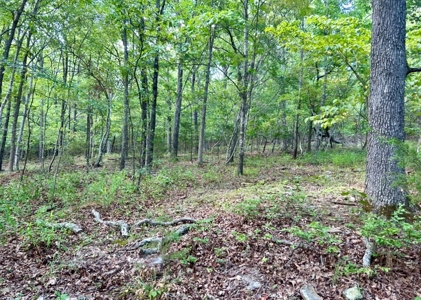 Luxury Northwest Arkansas Retreat For Sale - image 49