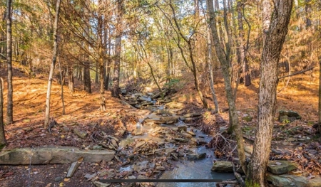 Luxury Northwest Arkansas Retreat For Sale - image 46