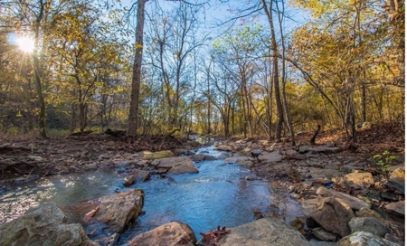 Luxury Northwest Arkansas Retreat For Sale - image 45