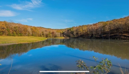 Luxury Northwest Arkansas Retreat For Sale - image 35