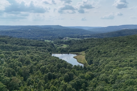 Luxury Northwest Arkansas Retreat For Sale - image 3