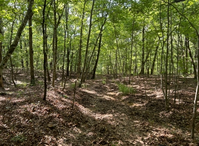 Luxury Northwest Arkansas Retreat For Sale - image 47