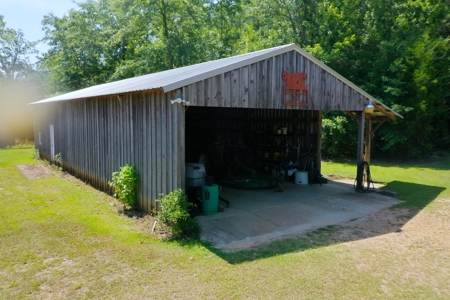 Embrace the countryside - image 6