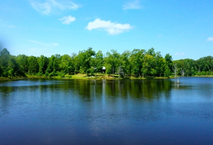 Embrace the countryside - image 10