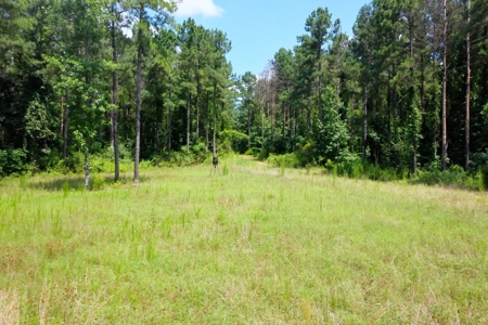 Embrace the countryside - image 19
