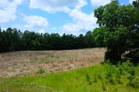 Embrace the countryside - image 24