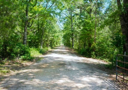Embrace the countryside - image 15