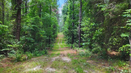Embrace the countryside - image 2