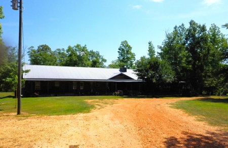 Embrace the countryside - image 7
