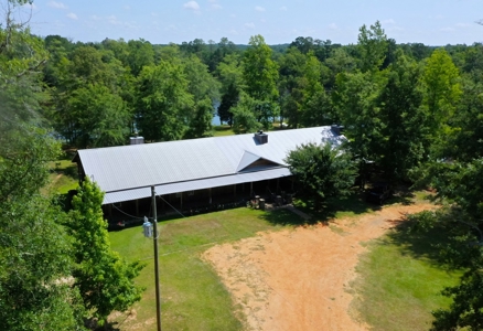 Embrace the countryside - image 8