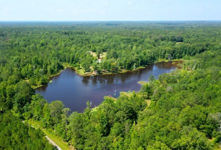 Embrace the countryside - image 9