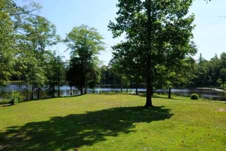 Embrace the countryside - image 3