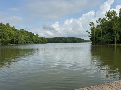Dream Lakefront Retreat On Kerr Lake, VA - image 27